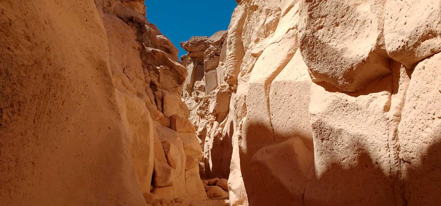 TOUR LA RUTA DEL SILLAR | Peruvian Shades