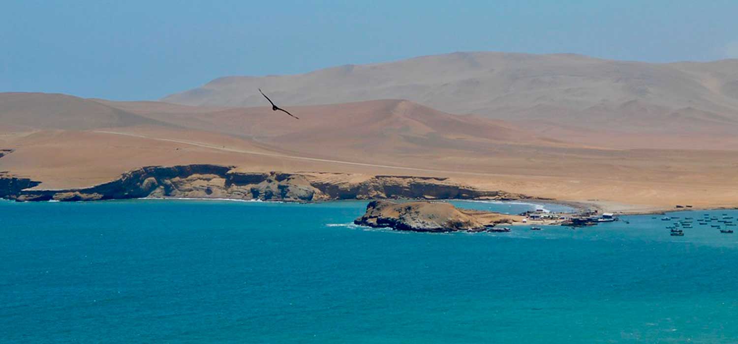 peruvian-shades-excursion-sur-chico-full-day-paracas-2