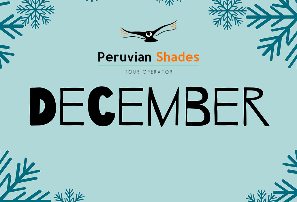 DICIEMBRE - PERUVIAN SHADES - PERU - DECEMBER