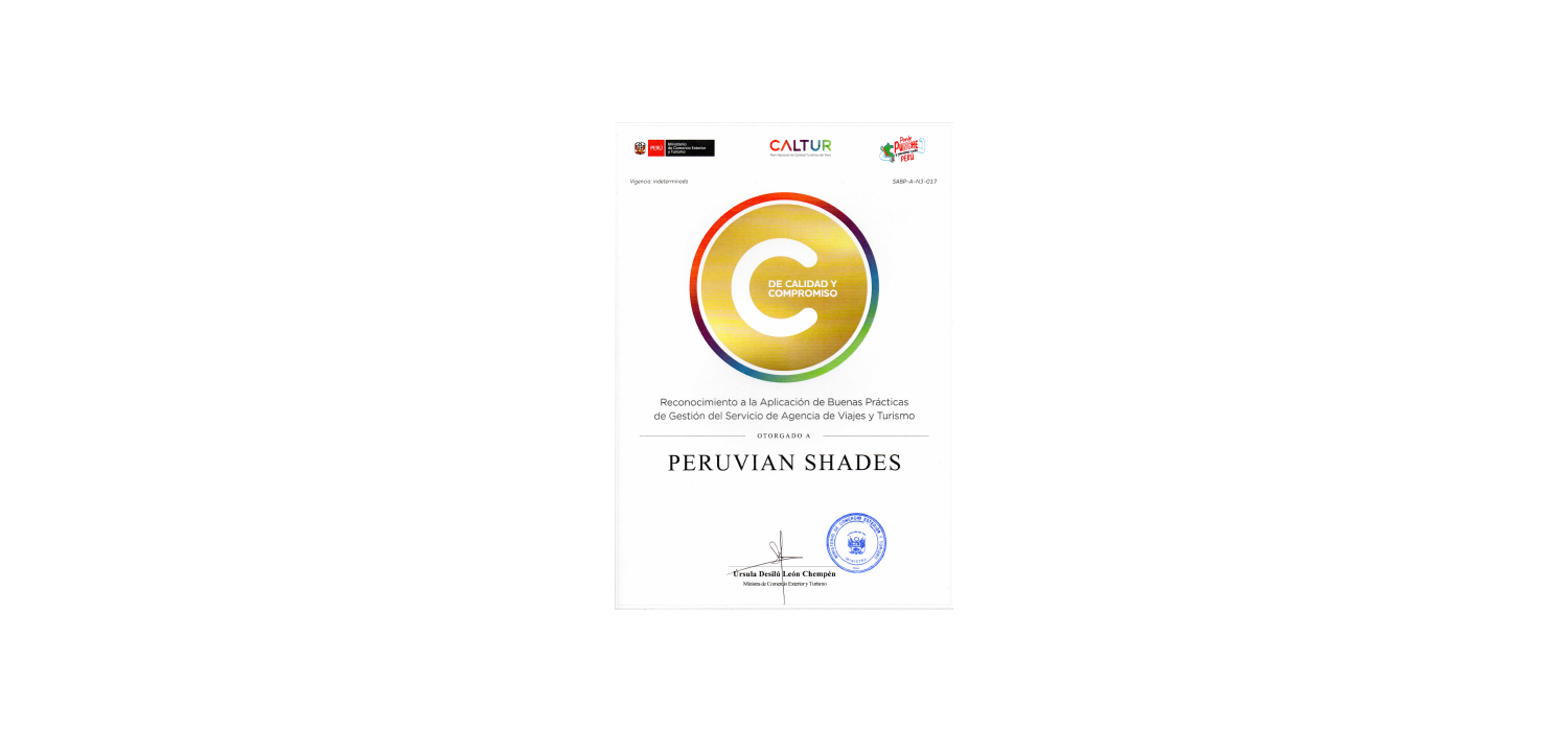 DISEÑO BLOG 14 AÑOS 2