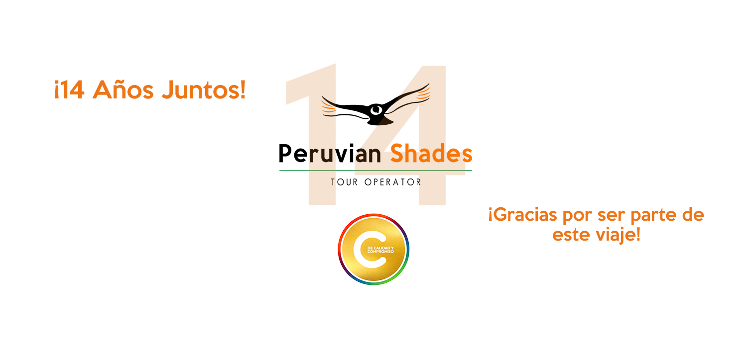 DISEÑO BLOG 14 AÑOS