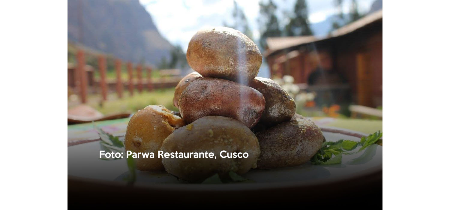 PAPA - PARWA - CUSCO - PS